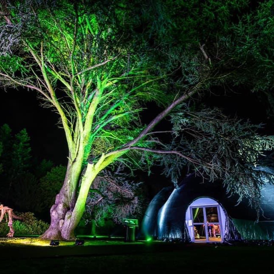 SKULLY ART COLLECTION 💀🍸 3