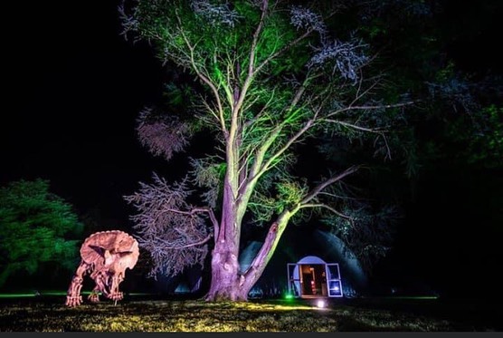 SKULLY ART COLLECTION 💀🍸 4