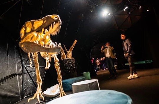 SKULLY ART COLLECTION 💀🍸 9