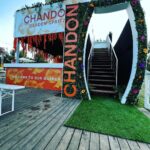 TASTE OF THE SUMMER 🍊☀️