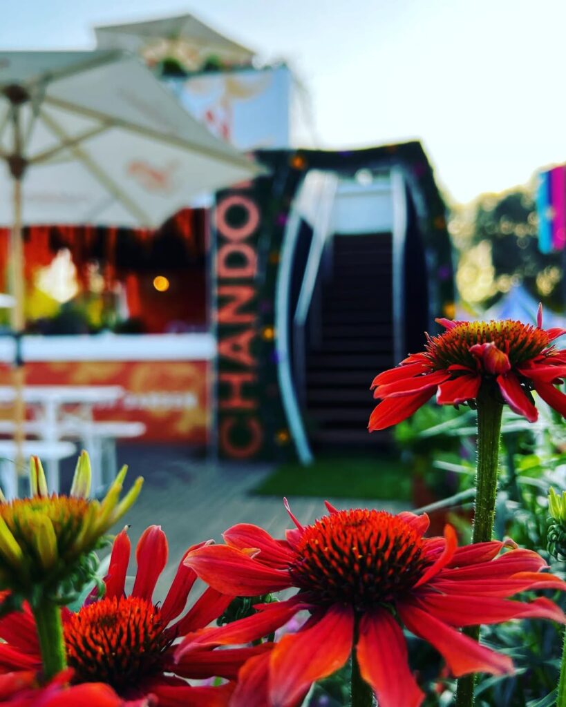 TASTE OF THE SUMMER 🍊☀️ 2