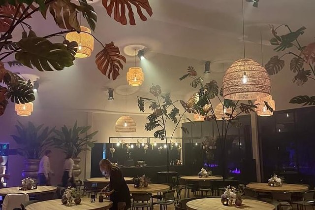 Project november 2022 3