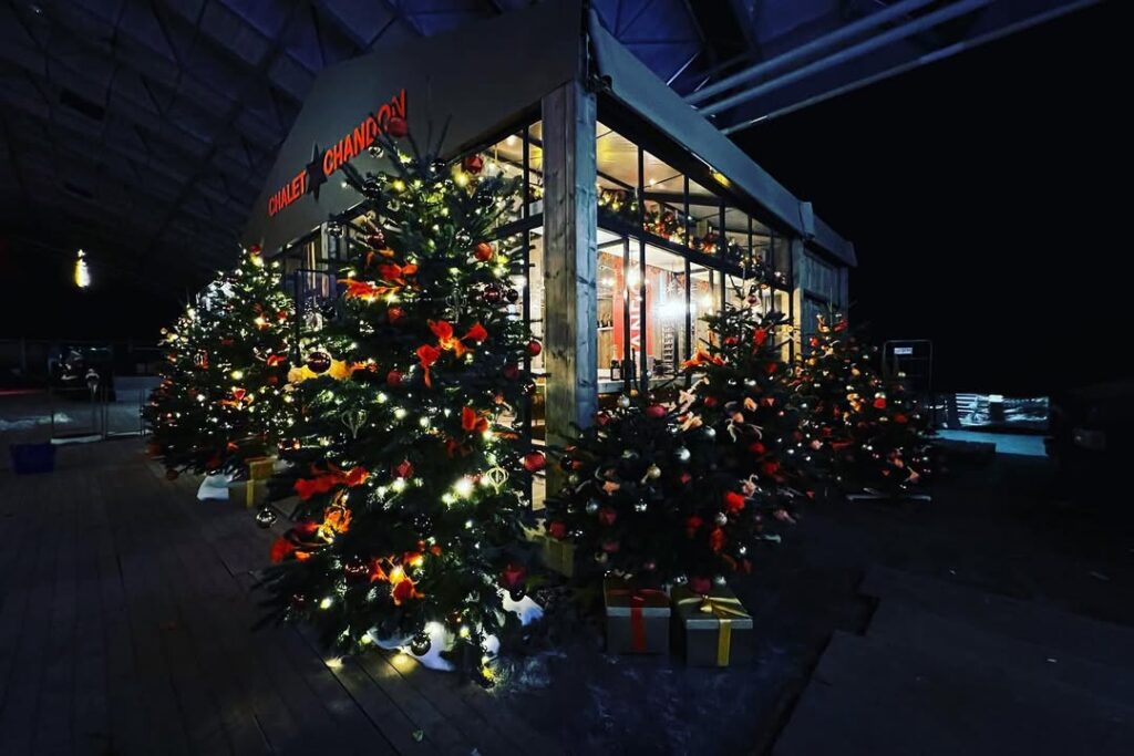 Project januari 2023 2