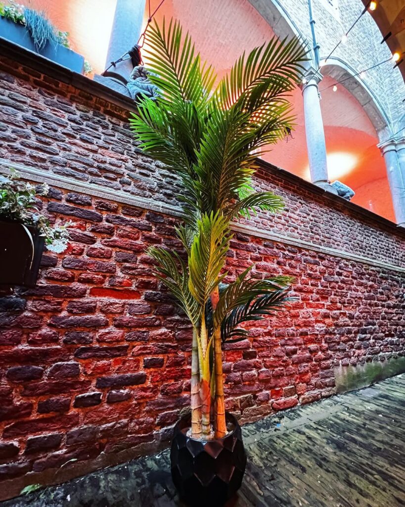 Mooi weer en een nog mooiere locatie ☀️🏰 7